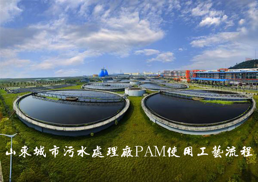 山东城市污水处理厂PAM使用工艺流程